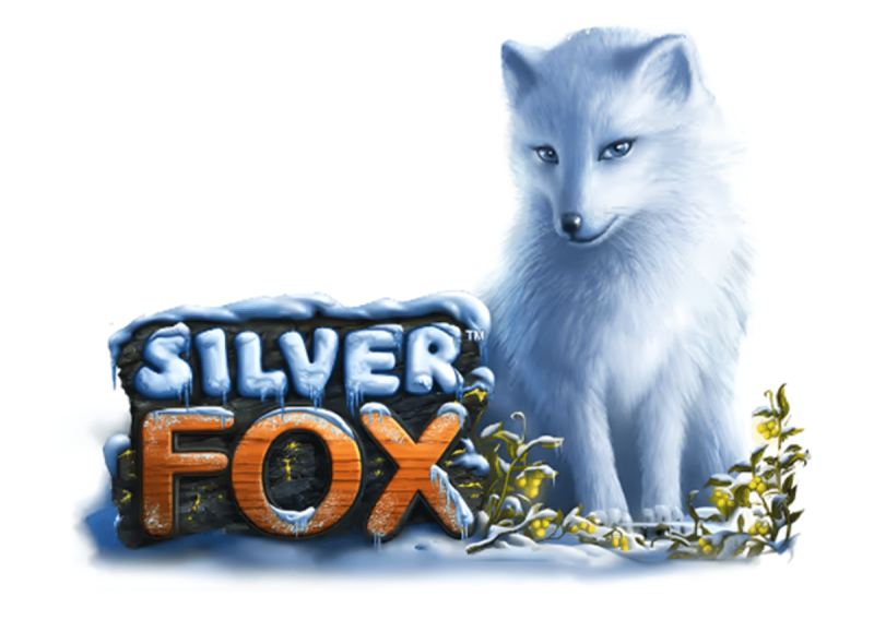 Silver Foxのスロットをリアルマネーでプレイできるベストカジノ